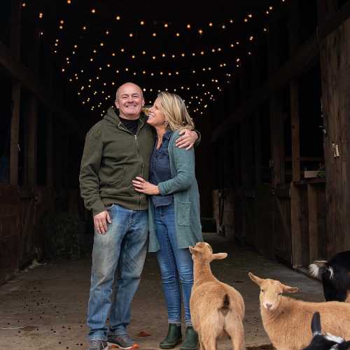 A couple smiles and embraces in a barn decorated with string lights, surrounded by a playful goat.