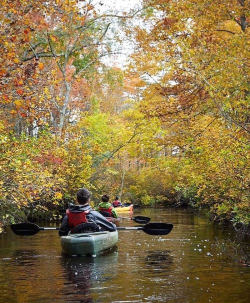 Three kayakers paddle through a serene, autumn-colored forest with vibrant leaves reflecting on the water.