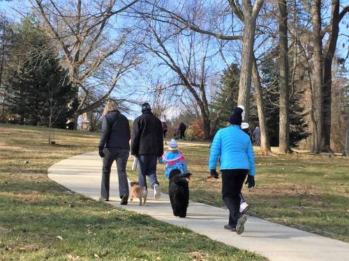 A group of people walking dogs on a path in a park, surrounded by trees and greenery.