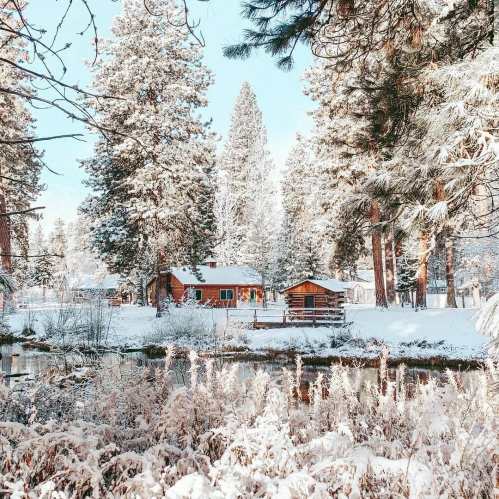 A cozy cabin surrounded by snow-covered trees and a serene, frozen pond under a clear blue sky.