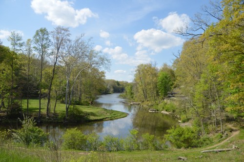 A serene river winding through lush green trees under a blue sky with fluffy clouds.