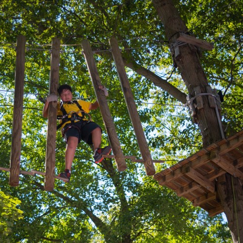 A child in a harness navigates a wooden obstacle course high in the trees, surrounded by green foliage.