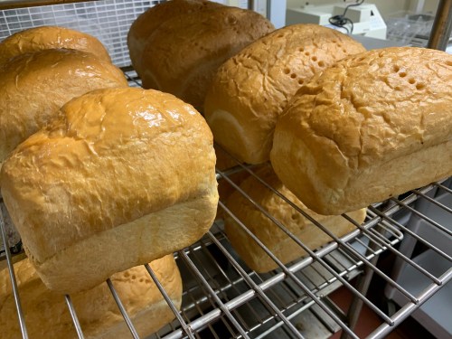 Freshly baked loaves of bread cooling on a wire rack, golden brown with a soft texture.