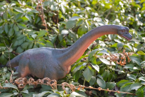 A toy dinosaur with a long neck, partially hidden among green foliage.
