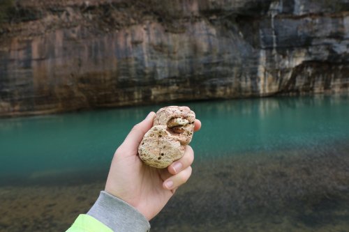 A hand holding a unique rock formation near a turquoise body of water and rocky cliffs in the background.
