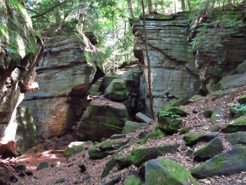 A rocky canyon surrounded by lush greenery and moss-covered stones, with sunlight filtering through the trees.