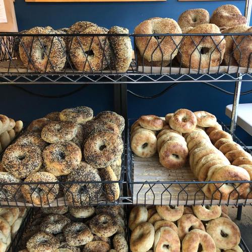 A display of various bagels on wire racks, featuring different toppings and textures against a blue wall.