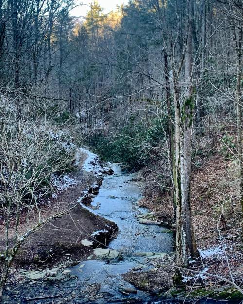 A serene forest scene with a winding stream, surrounded by trees and rocky banks, under soft morning light.