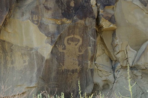 Petroglyphs carved into a rocky surface, depicting abstract figures and symbols in earthy tones.