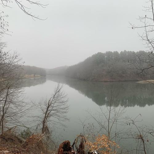 A serene river scene shrouded in fog, surrounded by bare trees and distant hills.