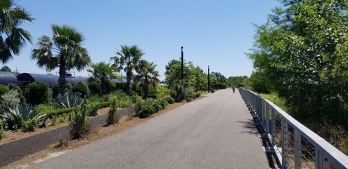 A sunny pathway lined with palm trees and greenery, leading into the distance with a cyclist visible ahead.