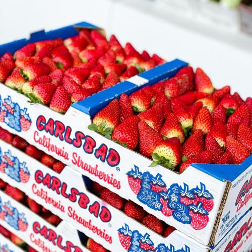 A close-up of boxes filled with fresh, vibrant California strawberries at a market.