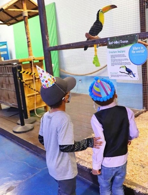 Two children in party hats observe a toucan in an exhibit, with a sign nearby about the bird's habitat.
