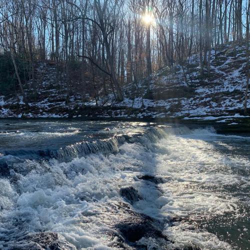 A serene river flows over rocks, surrounded by bare trees and sunlight filtering through the forest. Snow is visible on the ground.