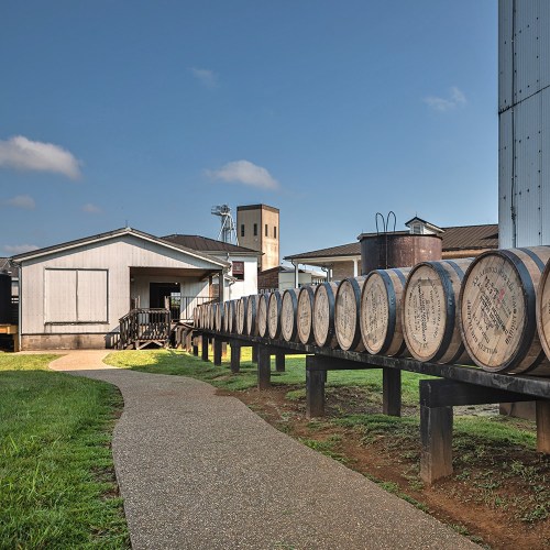 A pathway leads past wooden barrels outside a distillery, with buildings and a windmill in the background under a blue sky.