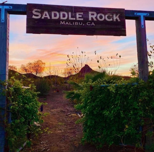 A wooden sign reading "Saddle Rock, Malibu, CA" against a colorful sunset, surrounded by greenery and plants.