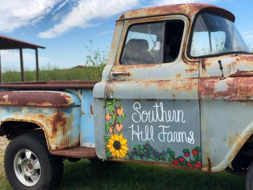 Rusty vintage truck with "Southern Hill Farms" painted on the side, featuring sunflowers and strawberries.