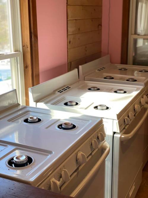 A row of white gas stoves lined up against a pink wall, with sunlight streaming through a nearby window.