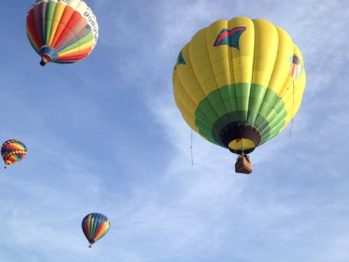 Colorful hot air balloons float against a clear blue sky, creating a vibrant and cheerful scene.