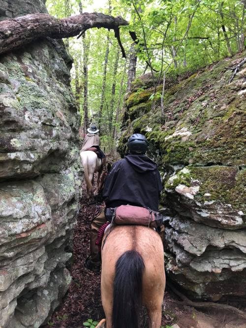 Two horseback riders navigate a narrow, rocky trail through a lush green forest.