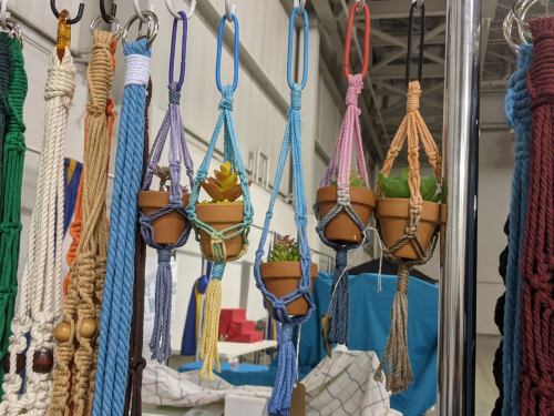 Colorful macramé plant hangers with small terracotta pots containing succulents, displayed in a bright indoor setting.