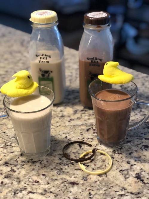 Two glasses of milk and chocolate milk topped with yellow marshmallow chicks, with bottles of milk in the background.