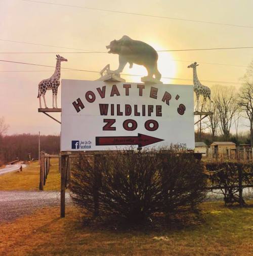 Sign for Hovatters Wildlife Zoo featuring a bear and giraffes, with a sunset in the background and an arrow pointing right.