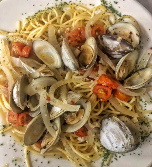 A plate of spaghetti with clams, cherry tomatoes, and onions, garnished with herbs.