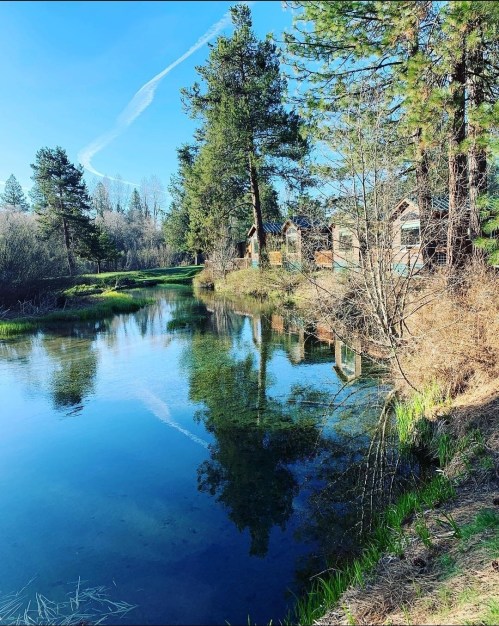A serene river reflects trees and cabins under a clear blue sky, surrounded by lush greenery.