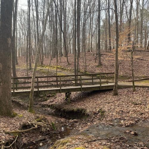 A wooden bridge crosses a small stream in a wooded area with bare trees and fallen leaves.