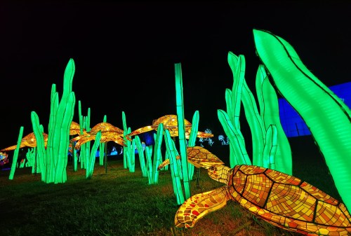 Colorful illuminated turtles and green seaweed-like structures in a dark outdoor setting.