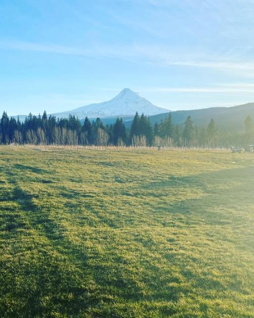 A snow-capped mountain rises in the distance, surrounded by green fields and tall trees under a clear blue sky.
