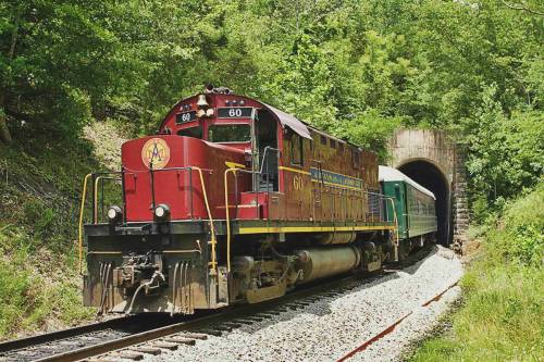 A vintage train approaches a dark tunnel, surrounded by lush green trees and rocky terrain.