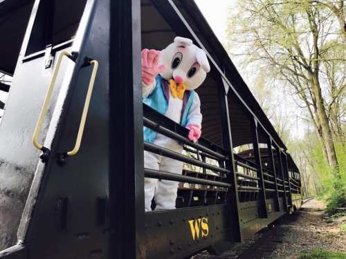 A person in a bunny costume waves from a train car surrounded by trees.