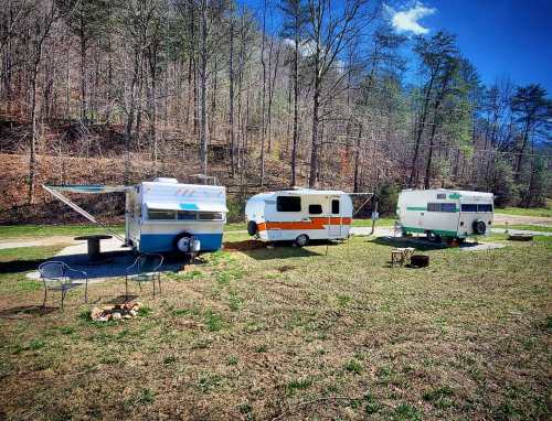 Three vintage campers parked on a grassy area, surrounded by trees and a clear blue sky. A fire pit and chairs are nearby.