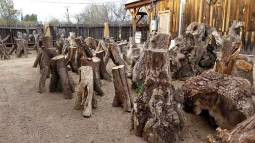 A collection of various tree stumps and logs arranged in a gravel area, surrounded by wooden structures.