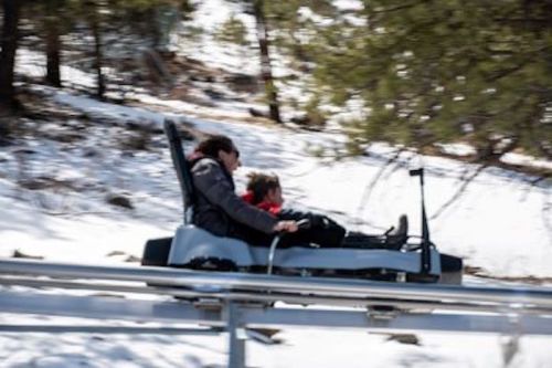 Two people ride a mountain coaster down a snowy slope, surrounded by trees.