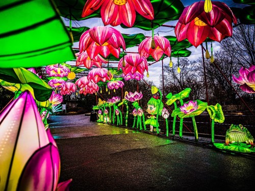 Colorful lanterns shaped like flowers and frogs illuminate a pathway, creating a vibrant, whimsical atmosphere.