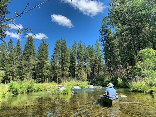 A person in a canoe paddles through a clear stream surrounded by lush green trees and a bright blue sky.
