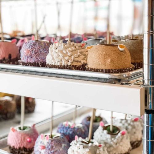 A display of colorful, decorated cake pops on a shelf, featuring various toppings and designs.