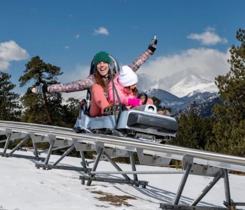 A woman and child joyfully ride a snowy alpine coaster, surrounded by mountains and trees under a blue sky.