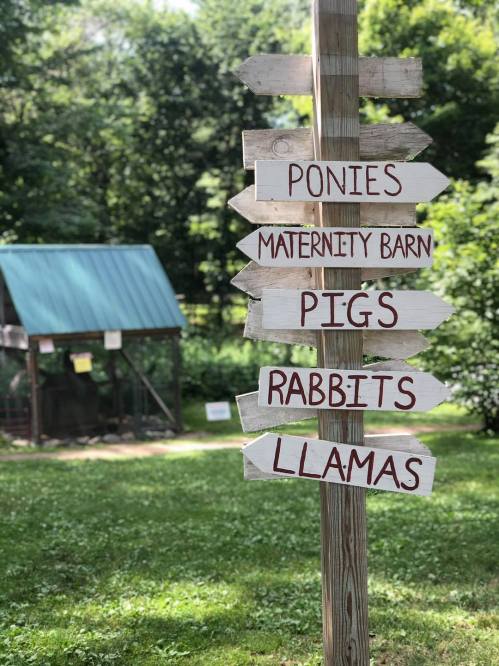 Wooden signpost with arrows pointing to various attractions: Ponies, Maternity Barn, Pigs, Rabbits, Llamas, in a green field.