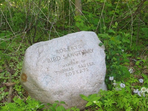 A stone memorial reads "Roberts Bird Sanctuary in memory of Thomas Sadler Roberts," surrounded by greenery.