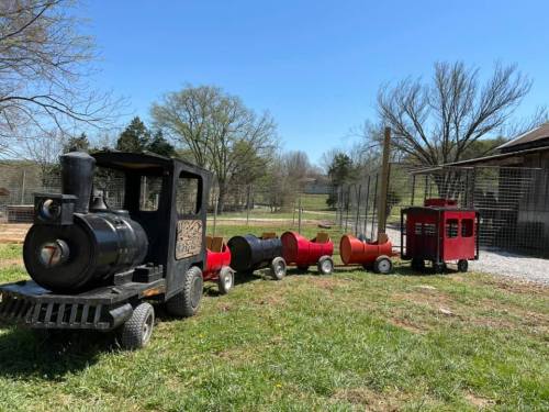 A small black train and colorful carriages sit on grass near a fenced area, under a clear blue sky.