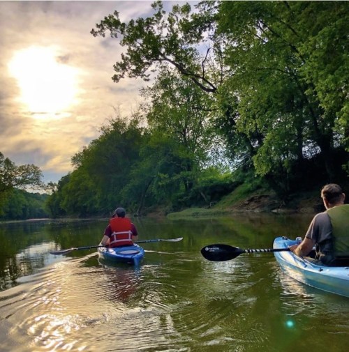 Two kayakers paddle on a calm river surrounded by lush greenery under a bright, cloudy sky.