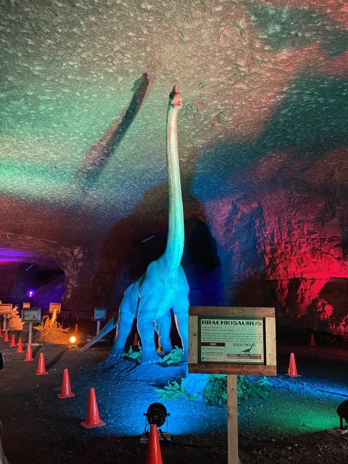 A life-sized Brachiosaurus model in a colorful cave, surrounded by cones and an informational sign.