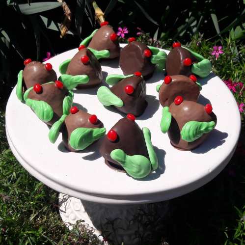 A plate of chocolate-covered treats shaped like mushrooms, decorated with green leaves and red cherries on top.