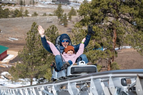 A man and a child joyfully ride a mountain coaster, hands raised, surrounded by trees and snowy hills.