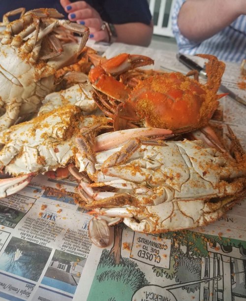 A close-up of cooked crabs sprinkled with seasoning on a table covered with newspaper.