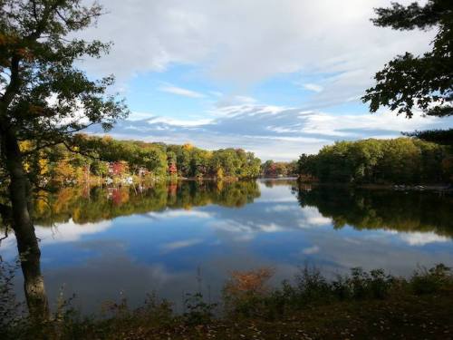 A serene lake surrounded by colorful autumn trees, reflecting the sky and foliage in calm waters.